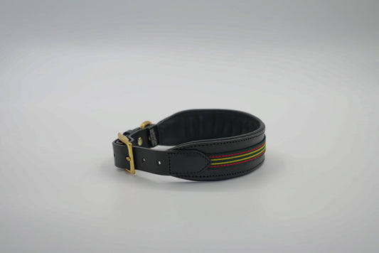 Leather Collar in Black with Green Trim