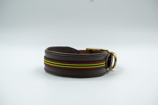 Leather Collar in Brown with Green Trim