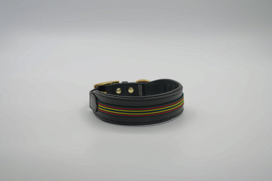 Leather Collar in Black with Green Trim